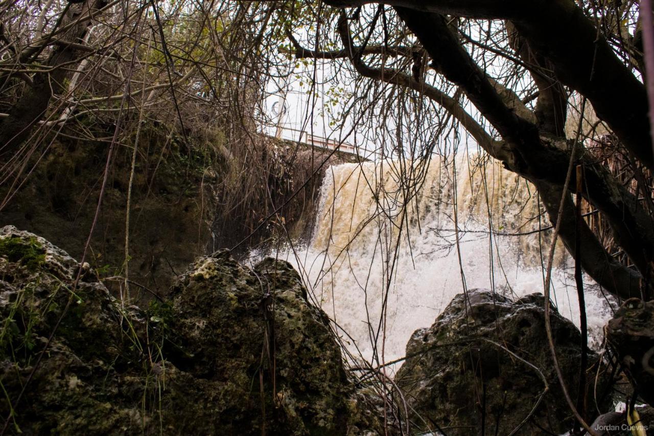 Casa Rural Dolores Cuevas del Becerro Exteriér fotografie